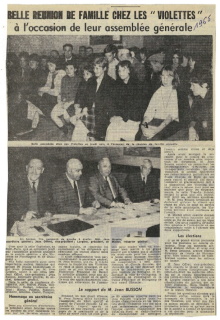 Belle réunion de famille chez les violettes